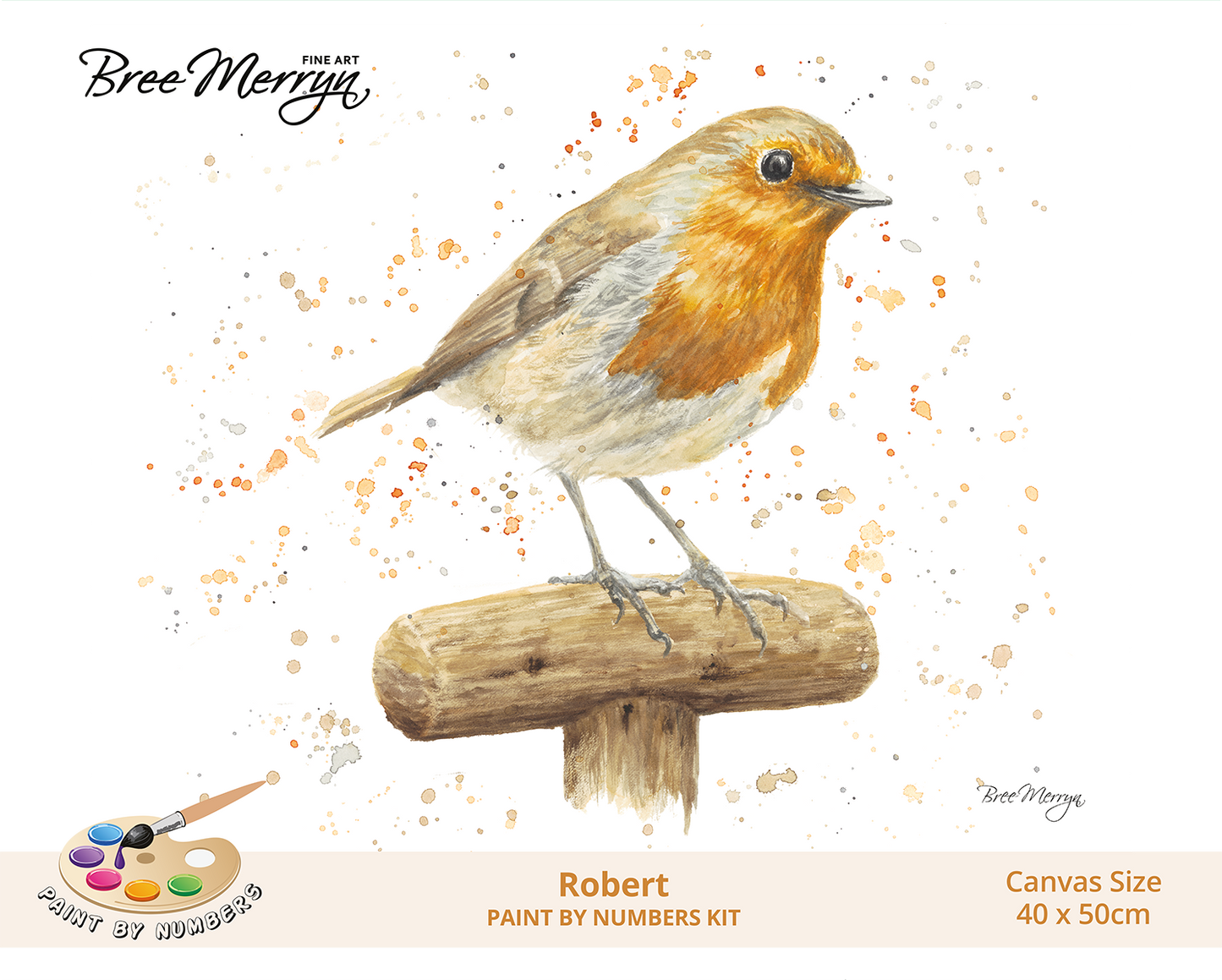 Bree Merryn Paint By Numbers 40cm x 50cm - Robert