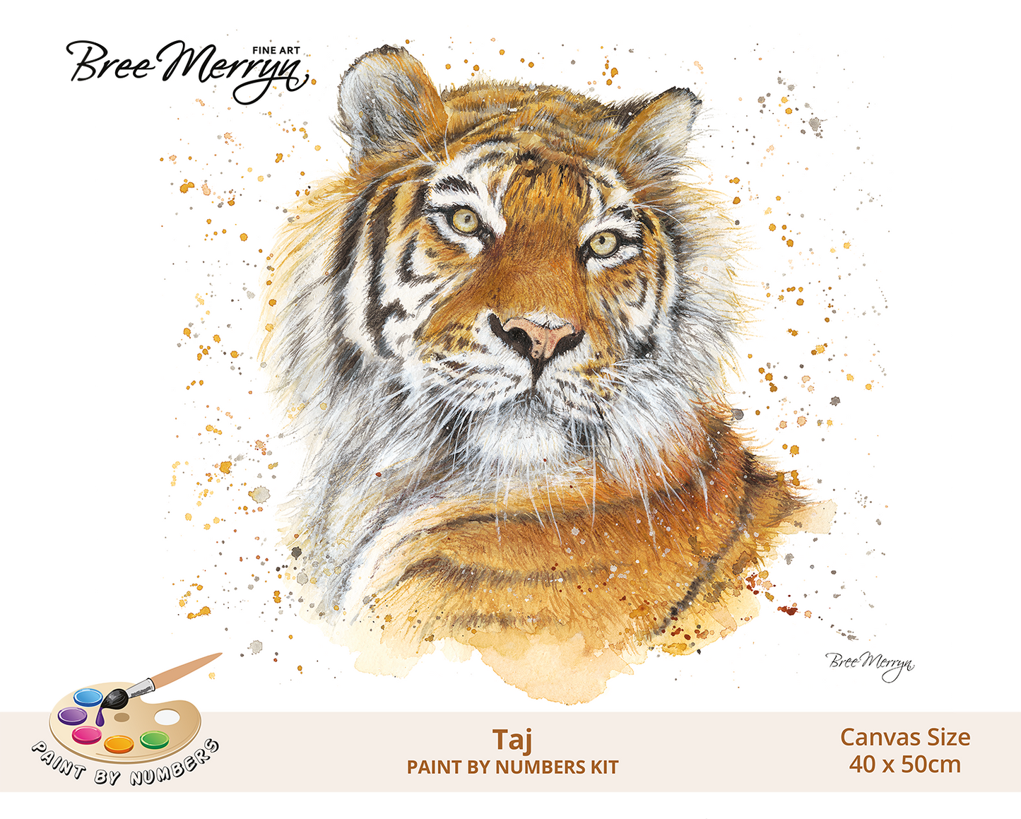 Bree Merryn Paint By Numbers 40cm x 50cm - Taj