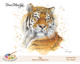 Bree Merryn Paint By Numbers 40cm x 50cm - Taj