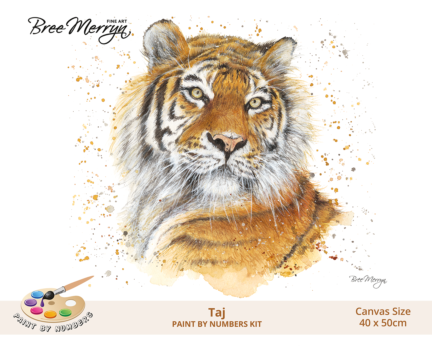 Bree Merryn Paint By Numbers 40cm x 50cm - Taj