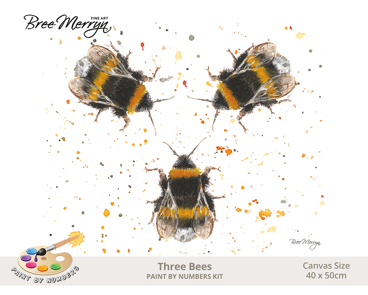 Bree Merryn Paint By Numbers 40cm x 50cm - Three Bees
