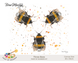 Bree Merryn Paint By Numbers 40cm x 50cm - Three Bees