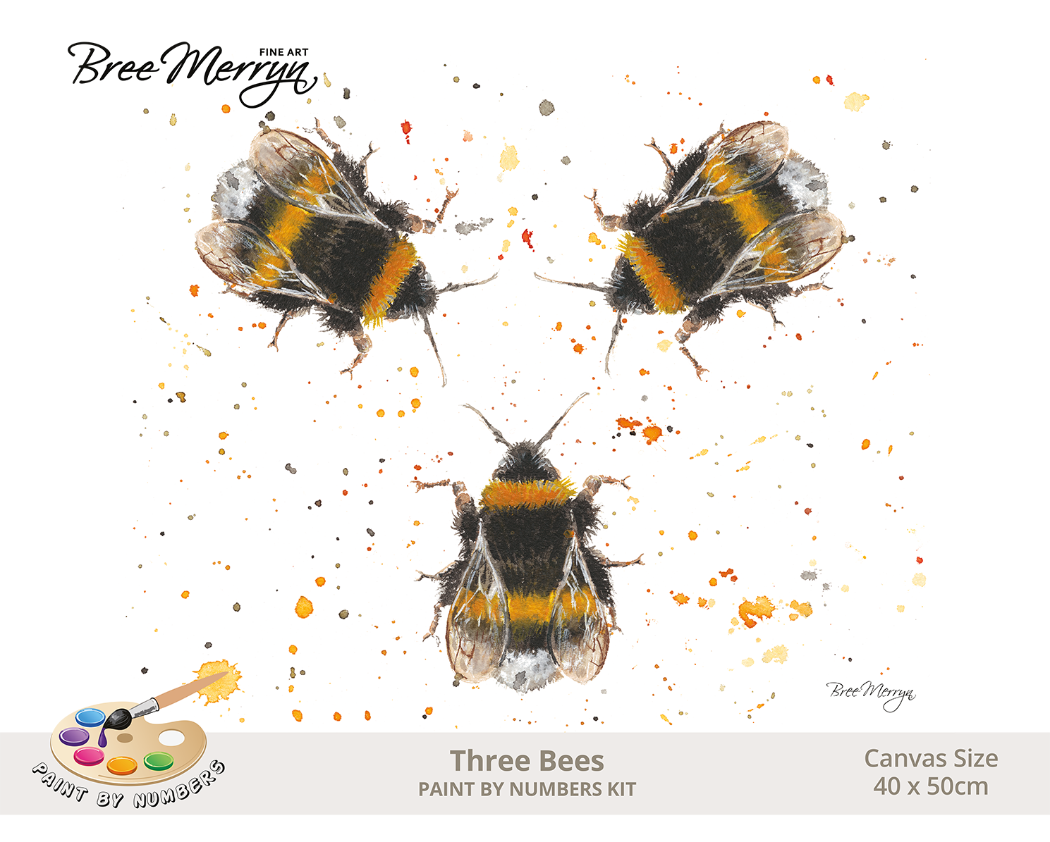 Bree Merryn Paint By Numbers 40cm x 50cm - Three Bees