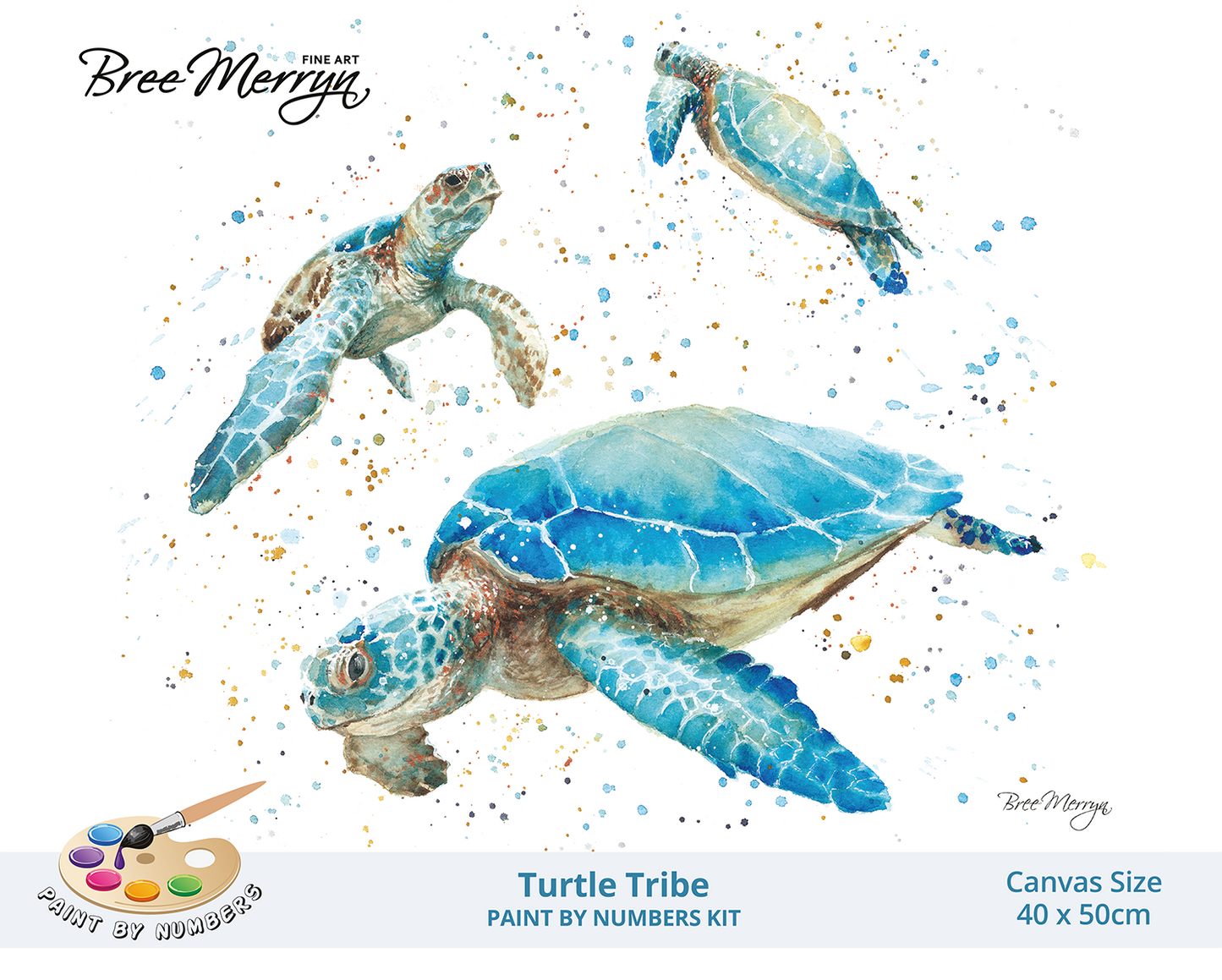 Bree Merryn Paint By Numbers 40cm x 50cm - Turtle Tribe