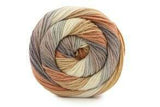 Caron Cinnamon Swirl Cakes Yarn 227g