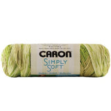 Caron Simply Soft Aran Yarn 141g - Ombres