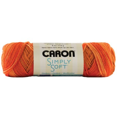 Caron Simply Soft Aran Yarn 141g - Ombres