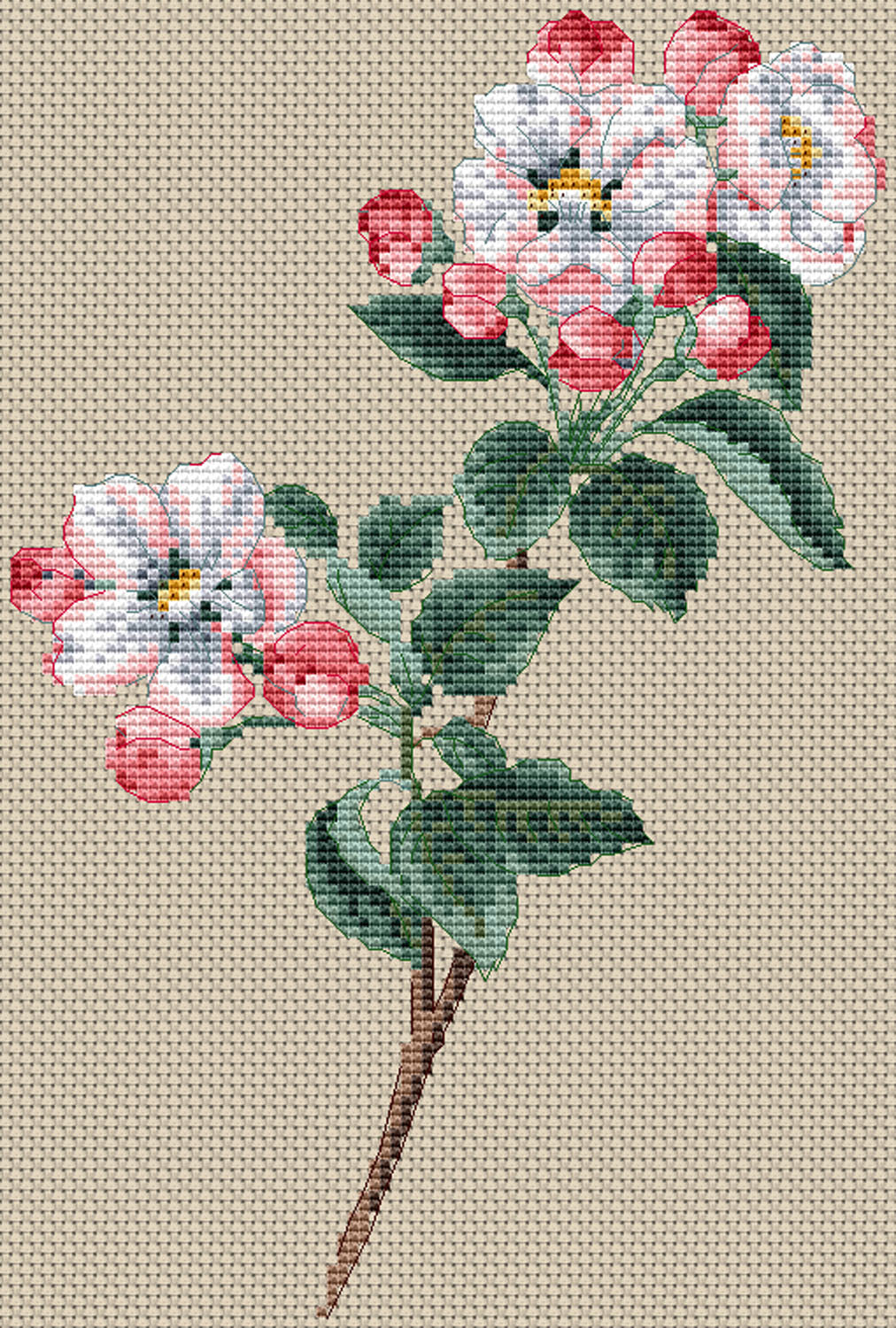 Floragenius Cross Stitch Kits - Pyrus Malus by Clarissa Badger