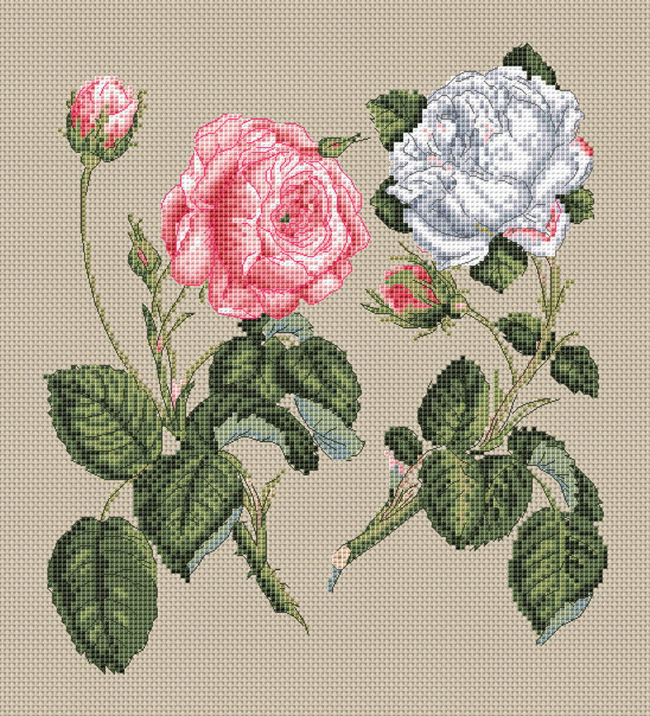 Floragenius Cross Stitch Kits - Pink Centifolia Rose & White Unique Rose by Stark