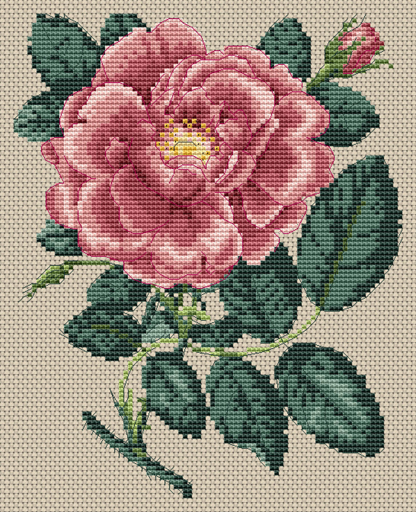 Floragenius Cross Stitch Kits - Rosa Damascena Grandifloral by Stark
