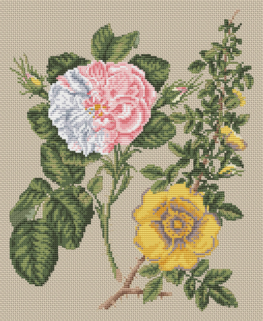 Floragenius Cross Stitch Kits - Damask Rose & Yellow Rose by Stark