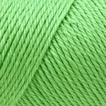 Caron - Simply Soft Aran Yarn 170g - Brites