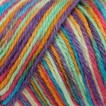 Caron Simply Soft Aran Yarn 141g - Paints & Heathers