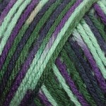 Caron Simply Soft Aran Yarn 141g - Paints & Heathers