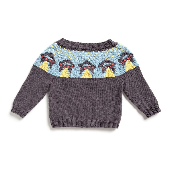 KNITTING PATTERN DOWNLOAD - Bernat UFO Yoke Knit Sweater