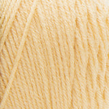 Red Heart Super Saver Yarn 198g/141g Solid/Ombre