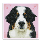 Diamond Dotz® Squares: Say Hello to Zuzu