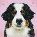 Diamond Dotz® Squares: Say Hello to Zuzu