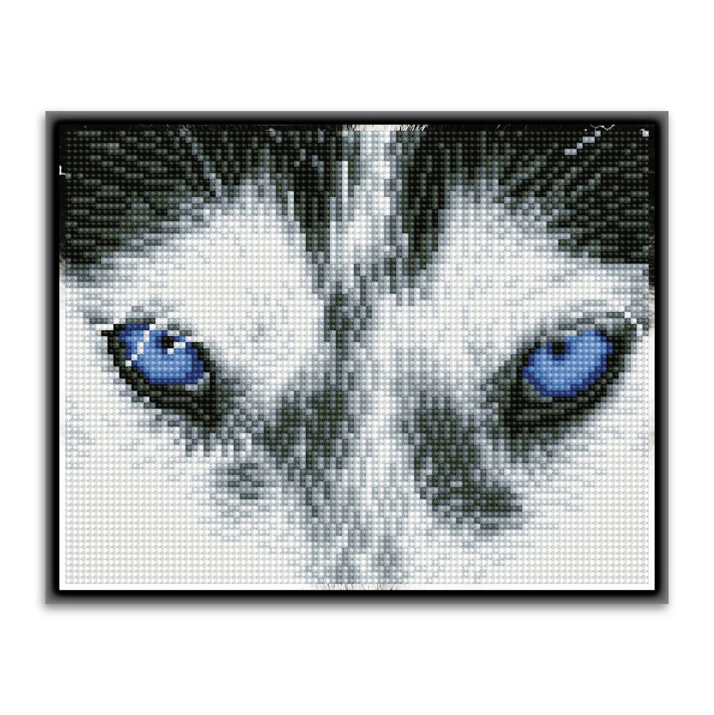 Diamond Dotz® Squares: Mystic Husky