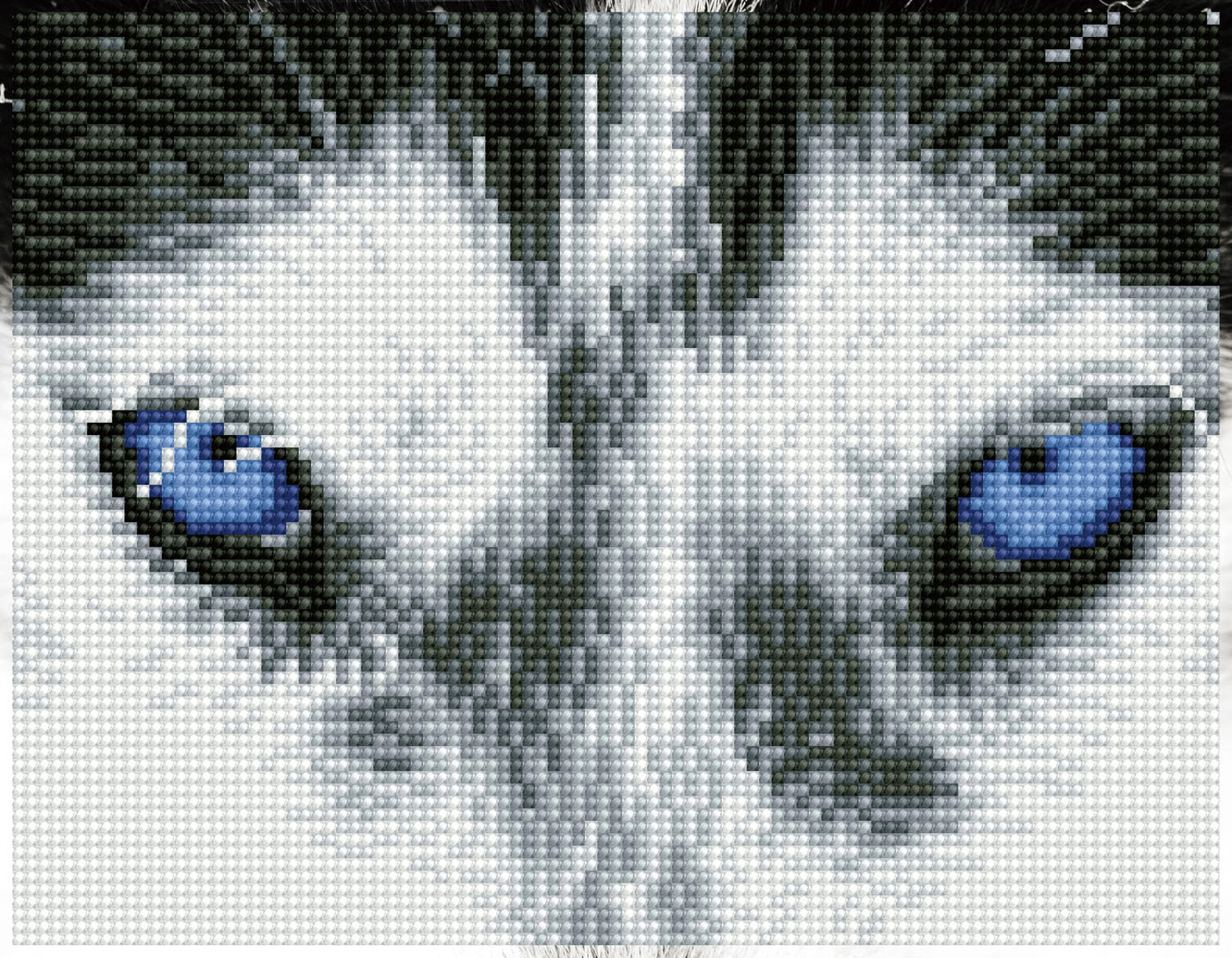 Diamond Dotz® Squares: Mystic Husky