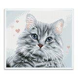Diamond Dotz® Squares: Pricilla