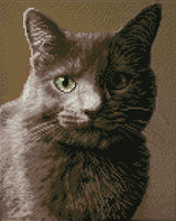 Diamond Dotz® Squares: Smokey