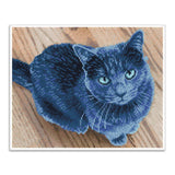 Diamond Dotz® Squares: Velvet