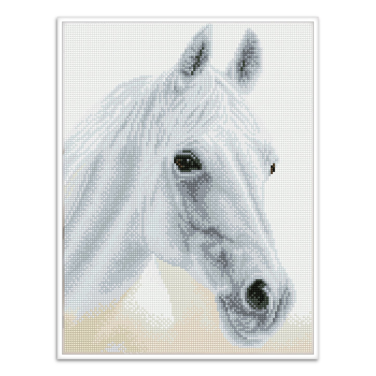 Diamond Dotz® Squares: Arabian Beauty
