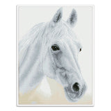 Diamond Dotz® Squares: Arabian Beauty