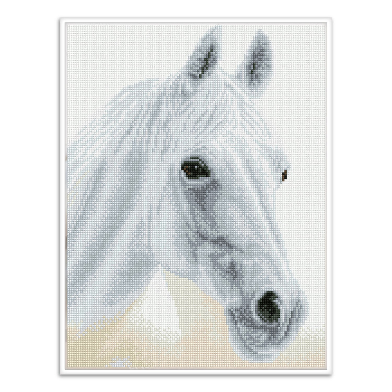 Diamond Dotz® Squares: Arabian Beauty