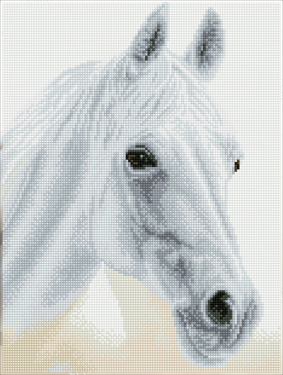 Diamond Dotz® Squares: Arabian Beauty