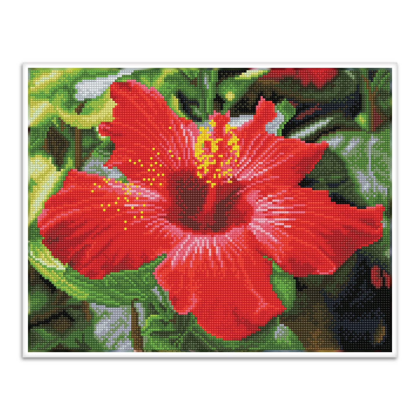 Diamond Dotz® Squares: Hibiscus In Bloom