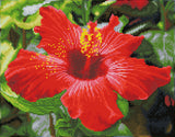 Diamond Dotz® Squares: Hibiscus In Bloom
