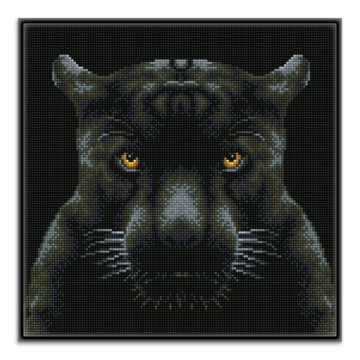 Diamond Dotz® Squares: If Looks Could Kill