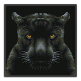 Diamond Dotz® Squares: If Looks Could Kill