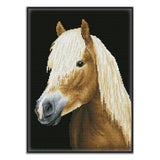 Diamond Dotz® Squares: Chester