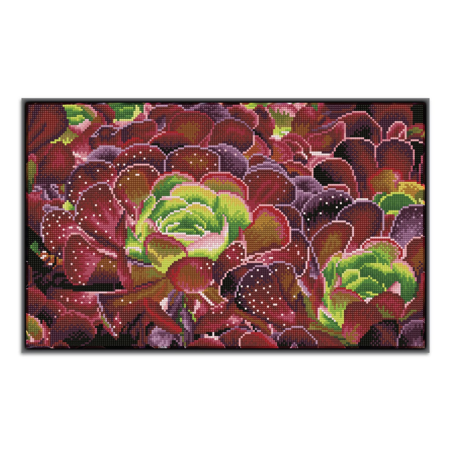 Diamond Dotz® Squares: Succulents