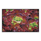 Diamond Dotz® Squares: Succulents