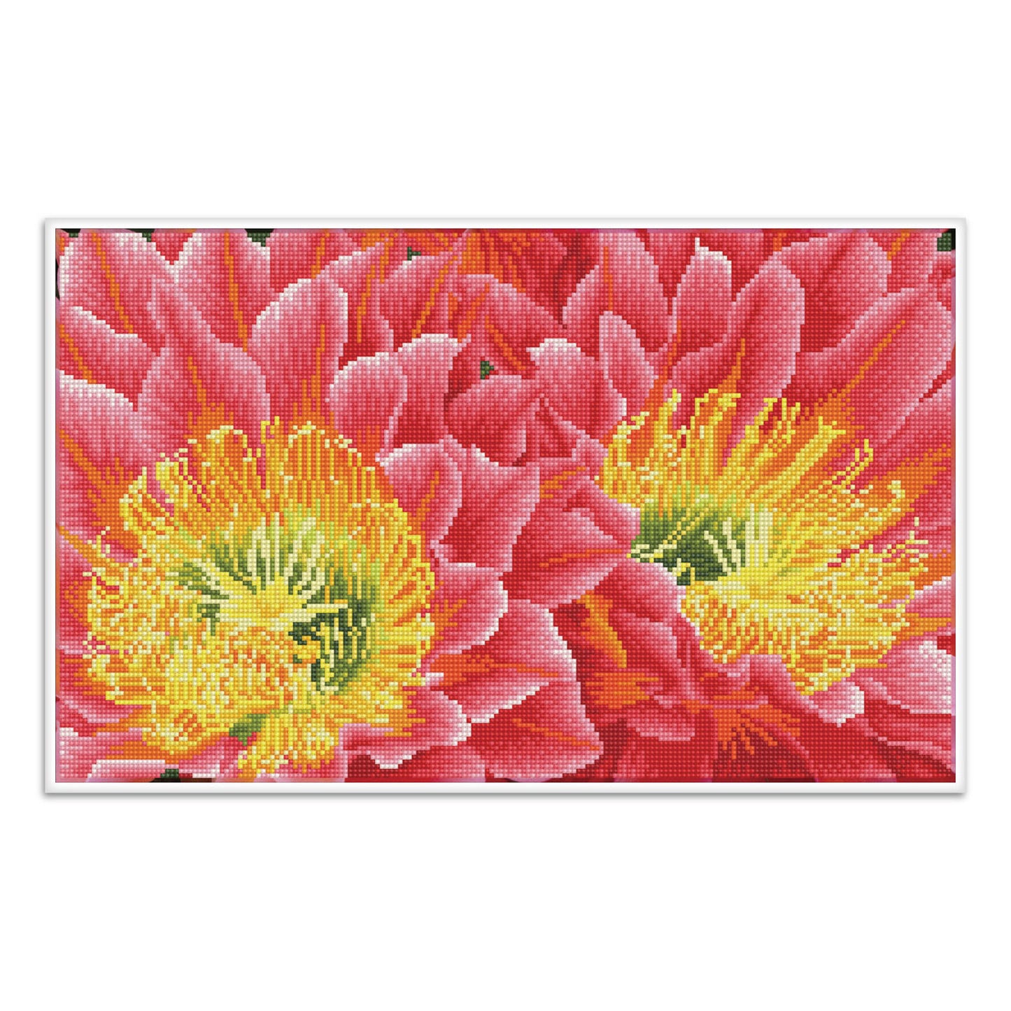 Diamond Dotz® Squares: Desert Blooms
