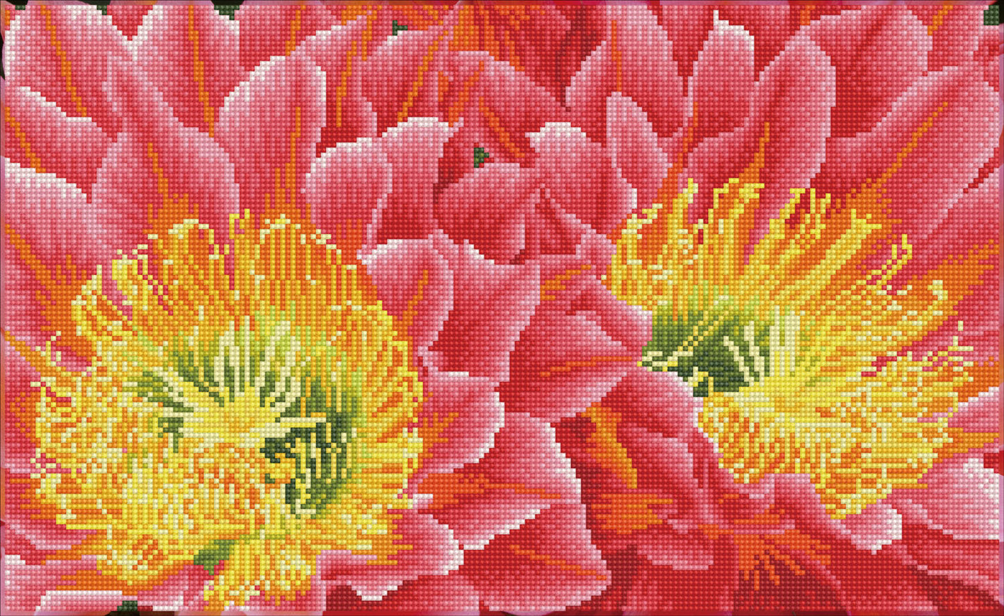 Diamond Dotz® Squares: Desert Blooms