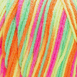 Red Heart Super Saver Yarn 198g/141g Solid/Ombre