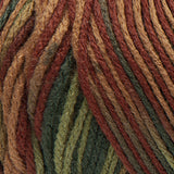 Red Heart Super Saver Yarn 198g/141g Solid/Ombre