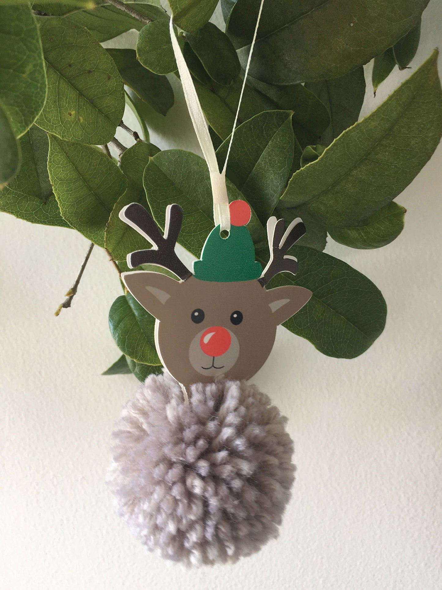 Pom Pom Decoration Kit: Christmas: Reindeer