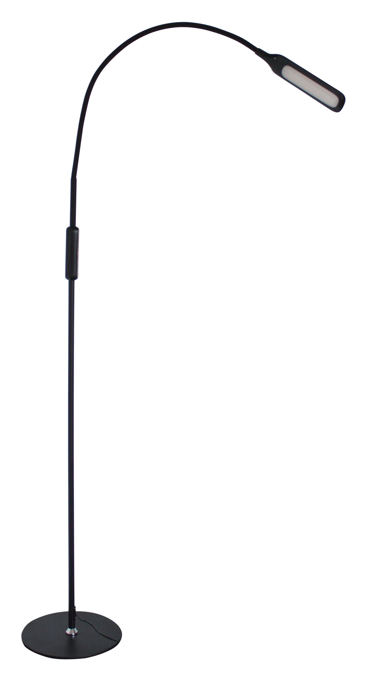 Lumina Floor Lamp - Black