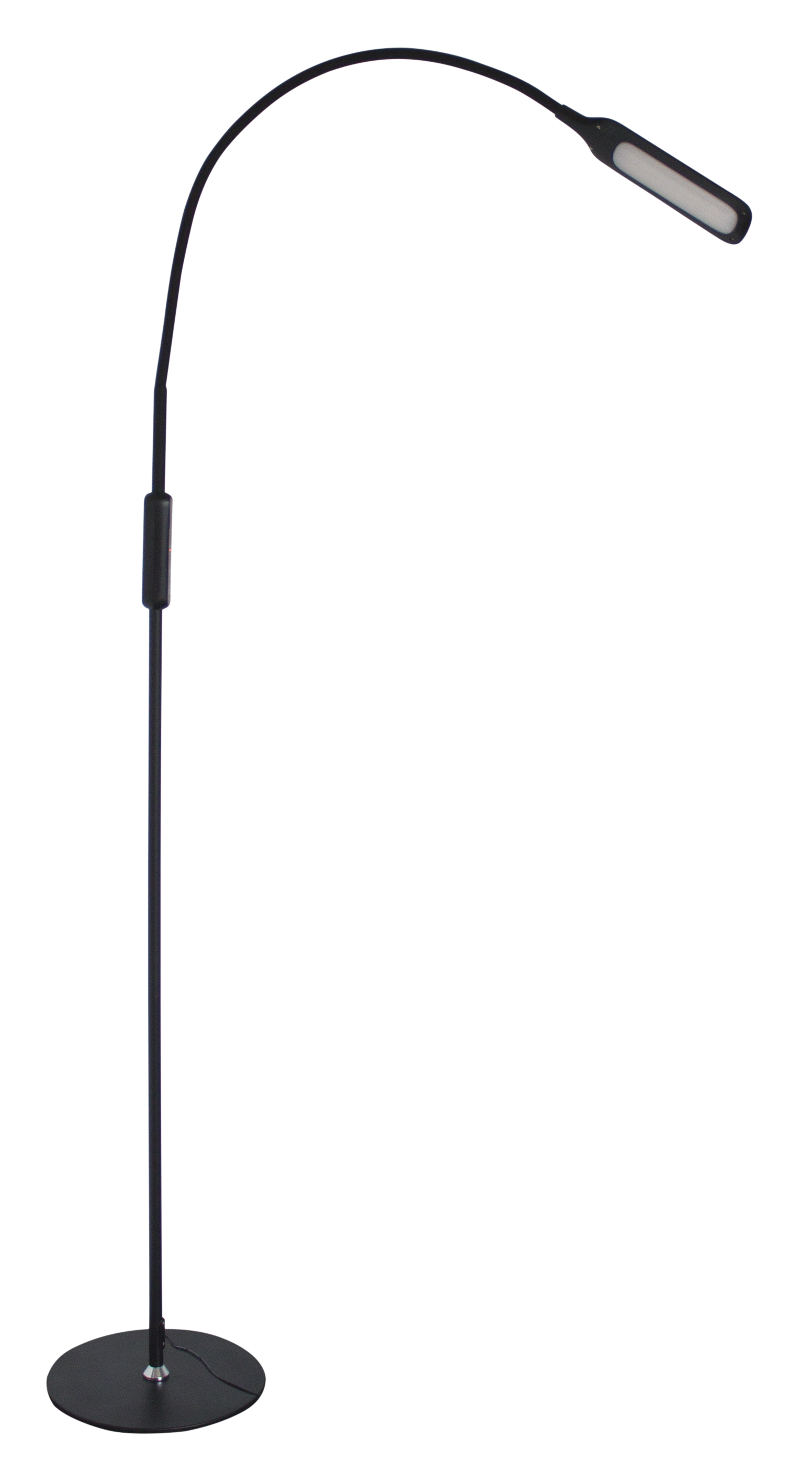 Lumina Floor Lamp - Black