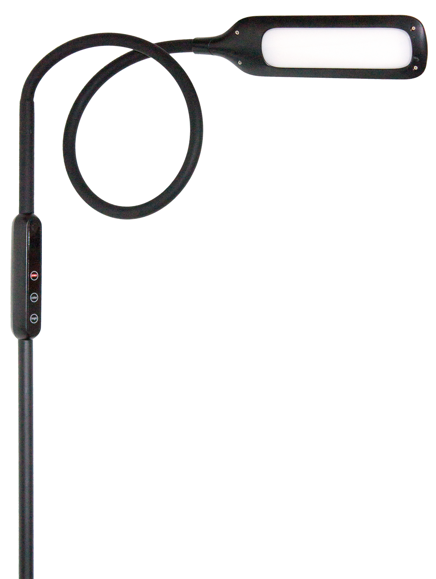 Lumina Floor Lamp - Black