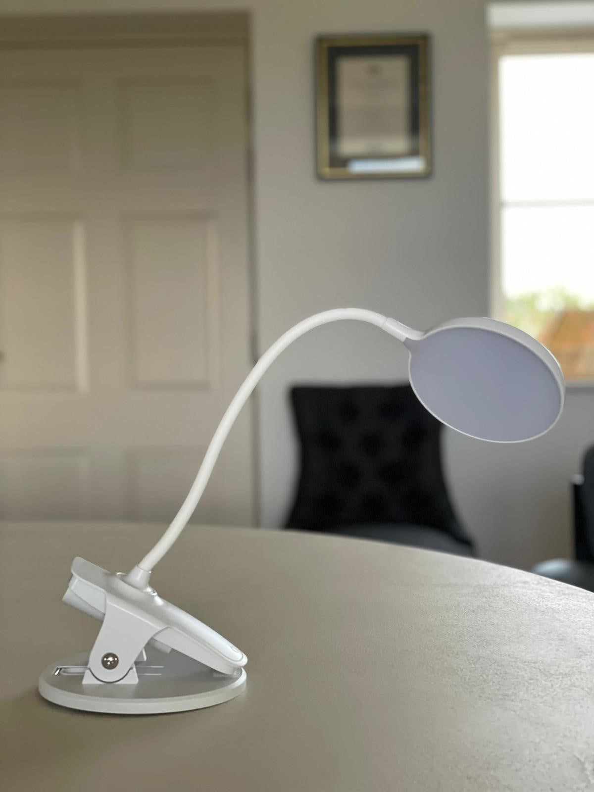 Clip On Mini Light