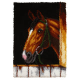 Latch Hook Kit: Rug: Bay Horse Head