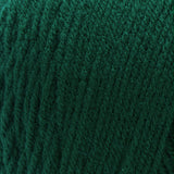 Red Heart Super Saver Yarn 198g/141g Solid/Ombre