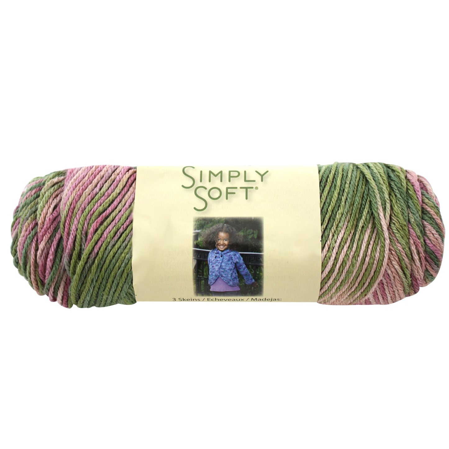 Caron Simply Soft Aran Yarn 141g - Paints & Heathers